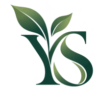 Yard Spruce