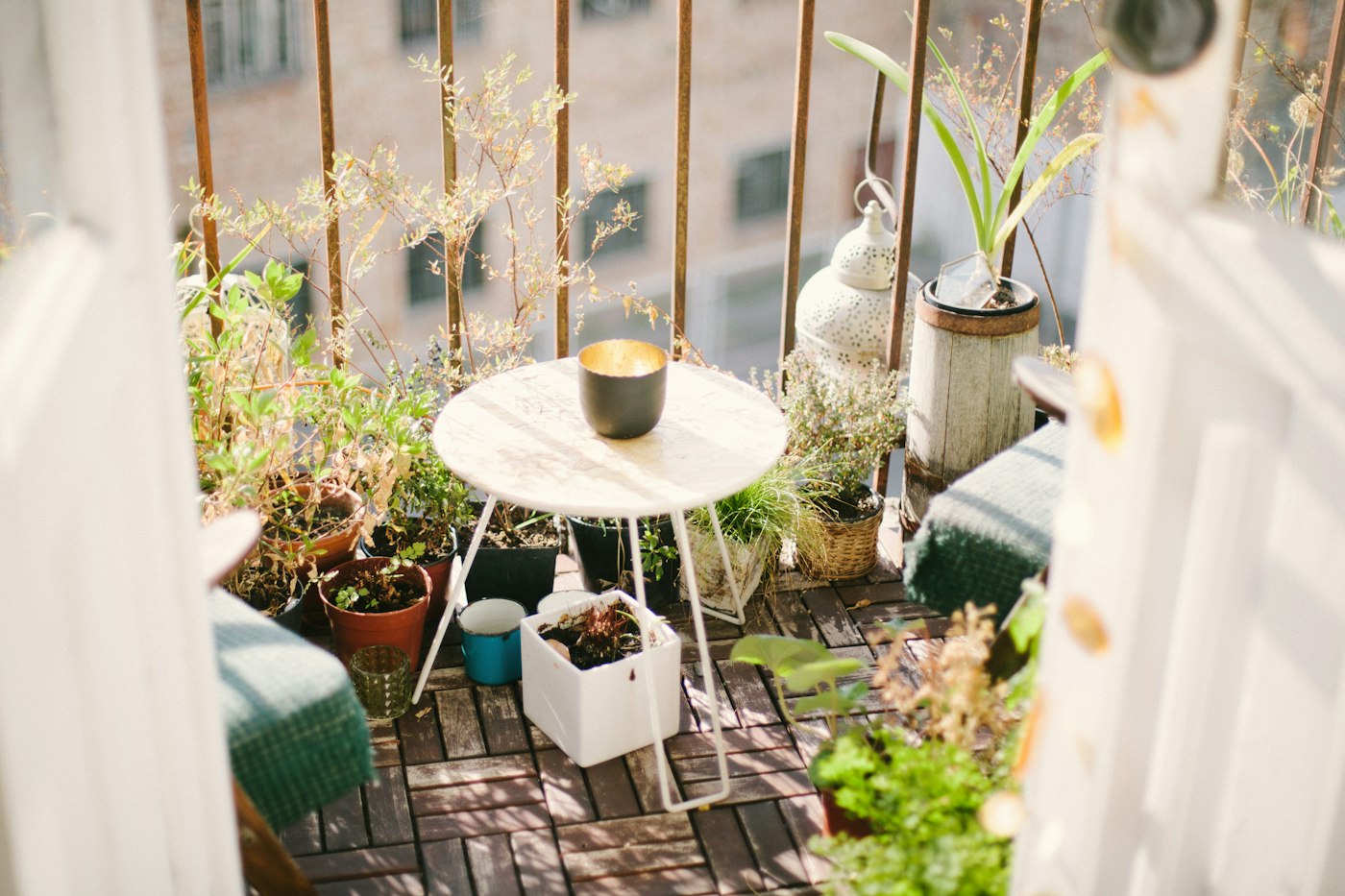 Lush rooftop terrace garden with potted plants