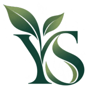 Yard Spruce