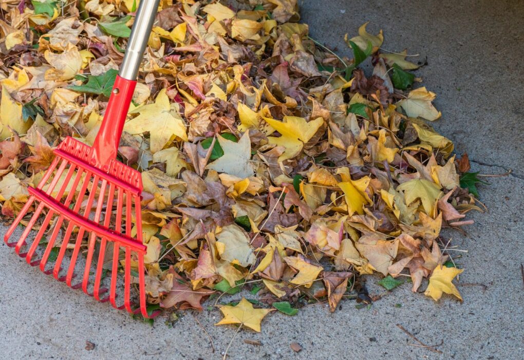 Red rake on a pile of fallen autumn leaves