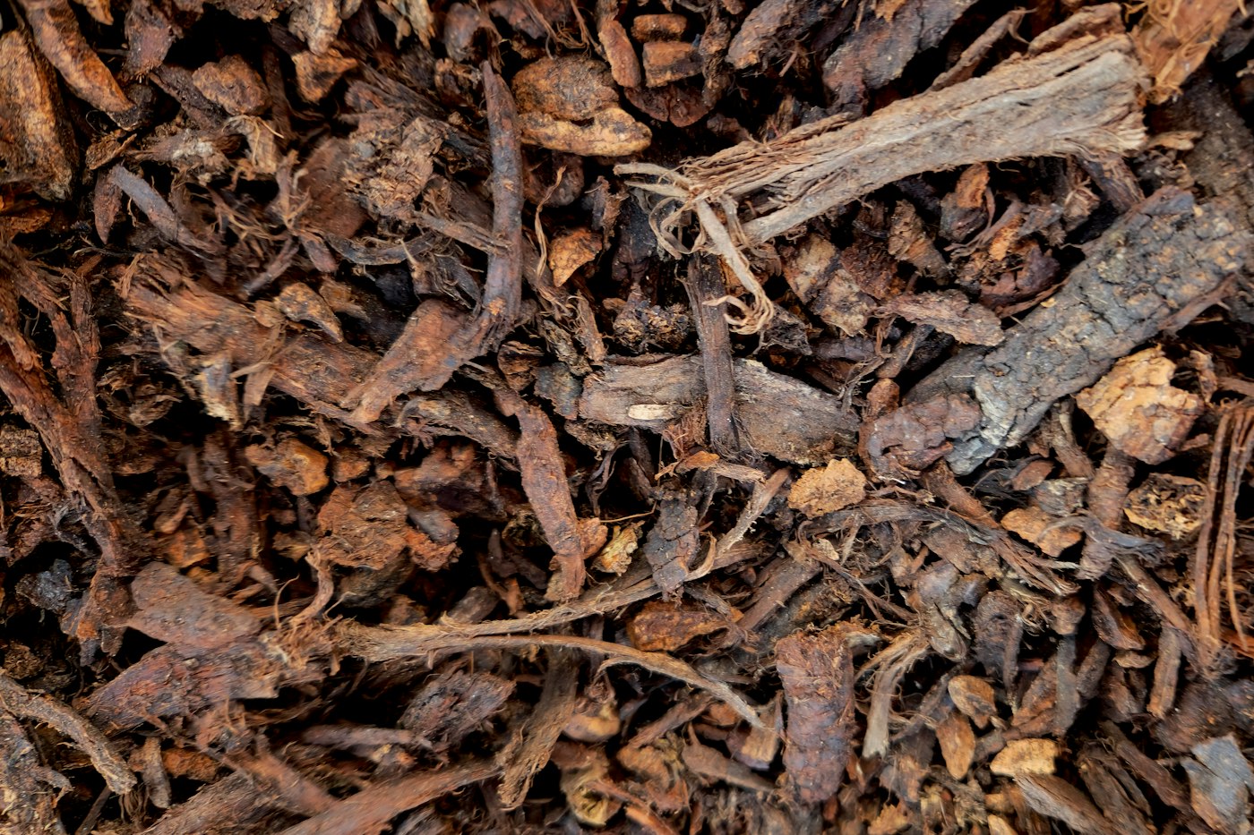 Close-up of wood chip mulch on garden soil