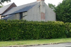 Lush green hedge in front of a house
