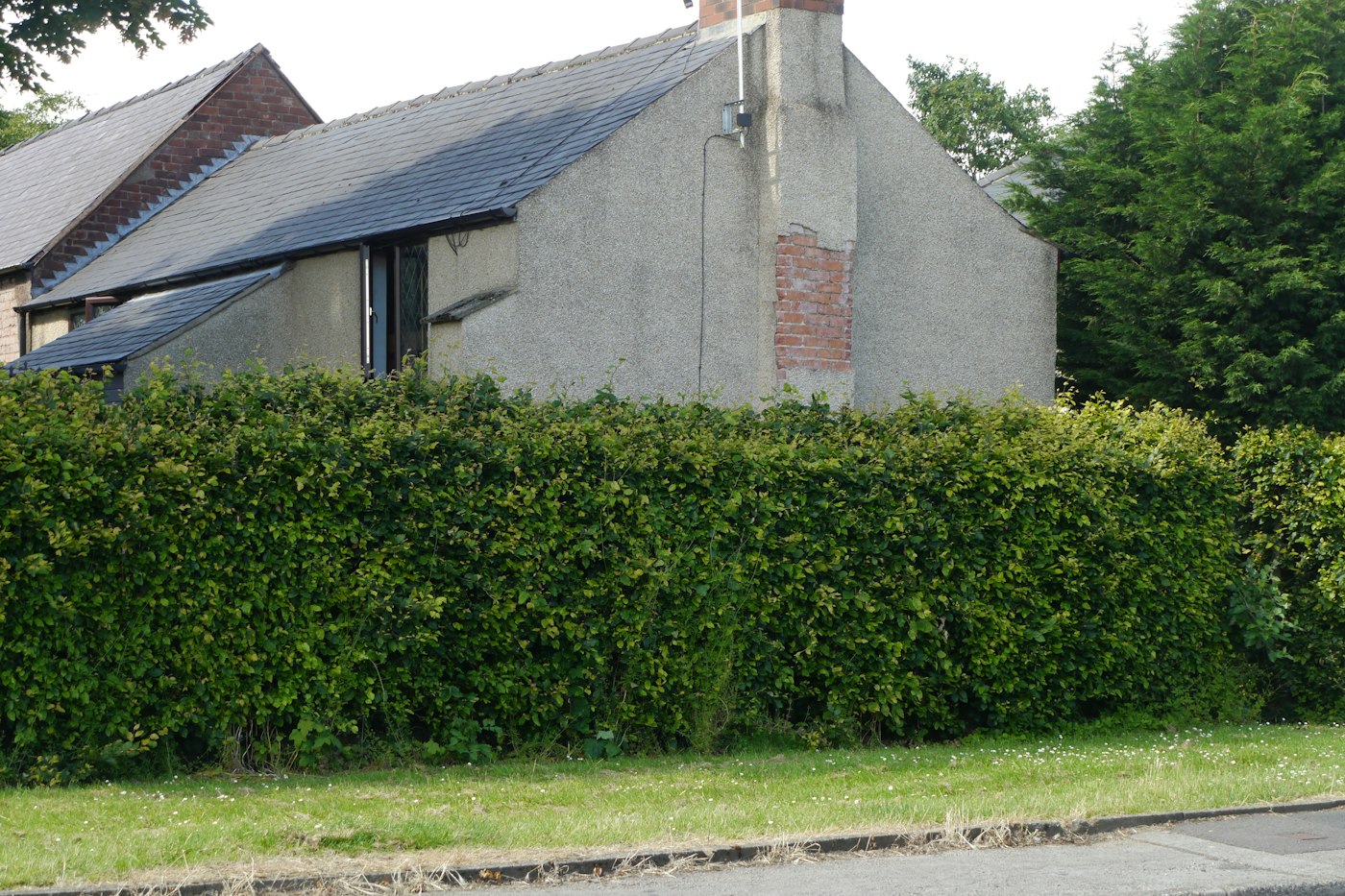 Lush green hedge in front of a house