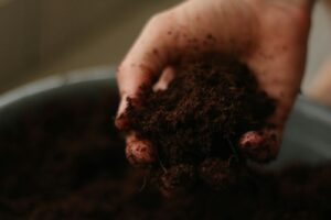Handful of dark garden soil