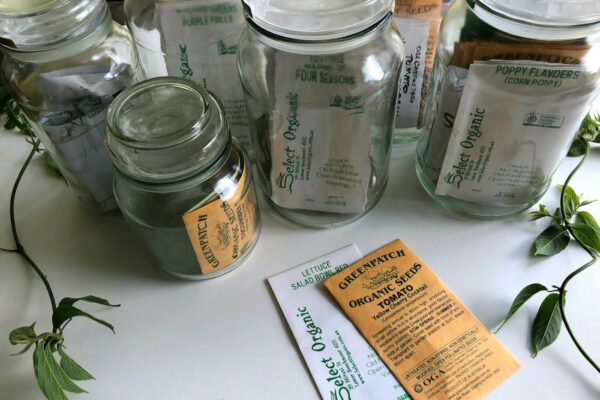 Glass jars and paper packets of saved garden seeds