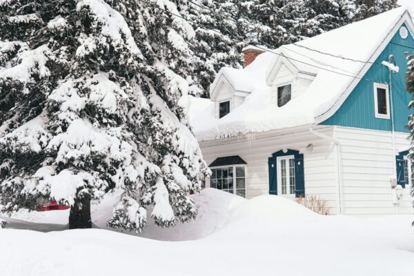House covered in snow next to snowy evergreen trees